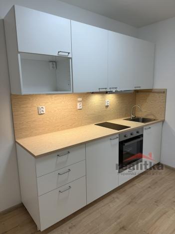 Pronájem bytu 2+1, Opava, Otická, 42 m2