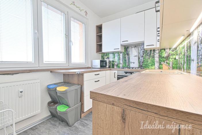 Pronájem bytu 3+1, Brno, Vysoká, 58 m2