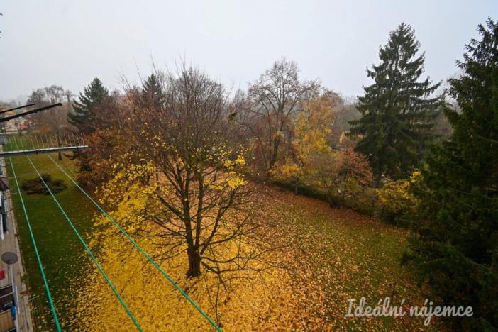 Pronájem bytu 3+1, Brno, Vysoká, 58 m2