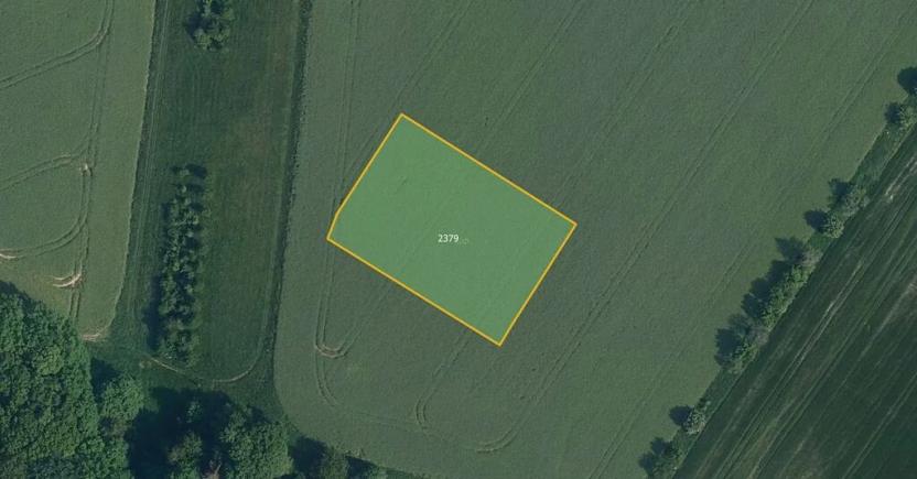 Prodej pole, Jenišovice, 3011 m2