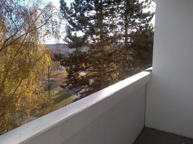 Prodej bytu 2+1, Brno, Ečerova, 60 m2