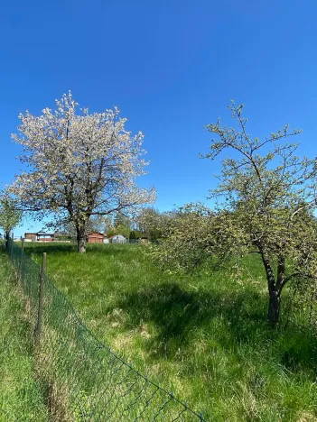 Prodej pozemku pro bydlení, Hamr na Jezeře, 875 m2