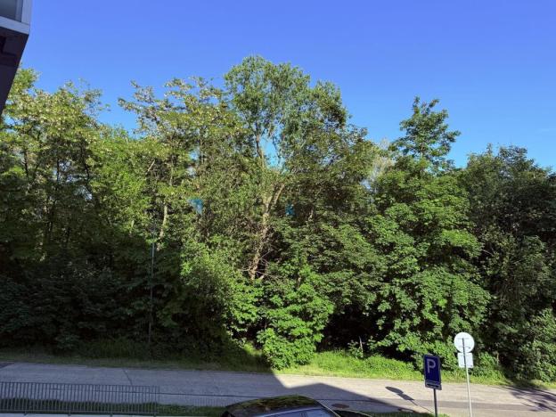 Pronájem bytu 3+kk, Ostrava - Slezská Ostrava, Podzámčí, 66 m2