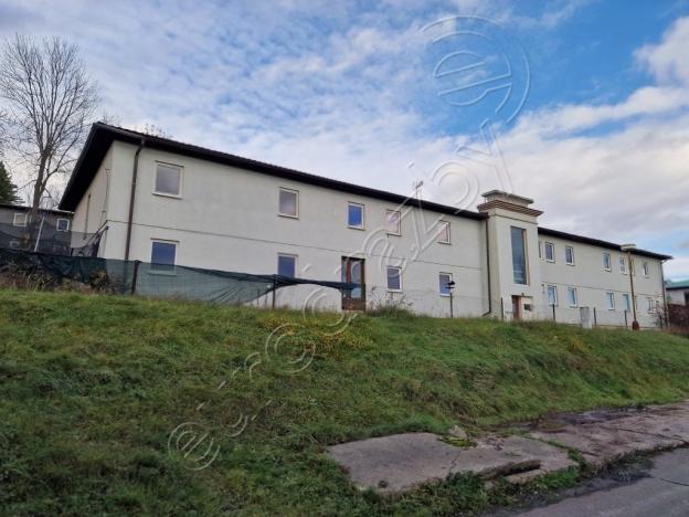 Dražba ubytování, Ostrov, Krušnohorská, 750 m2