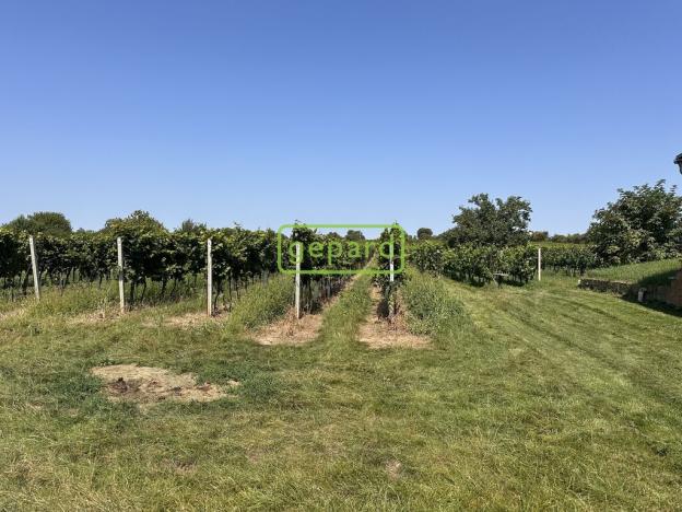 Prodej vinného sklepa, Prušánky, 88 m2