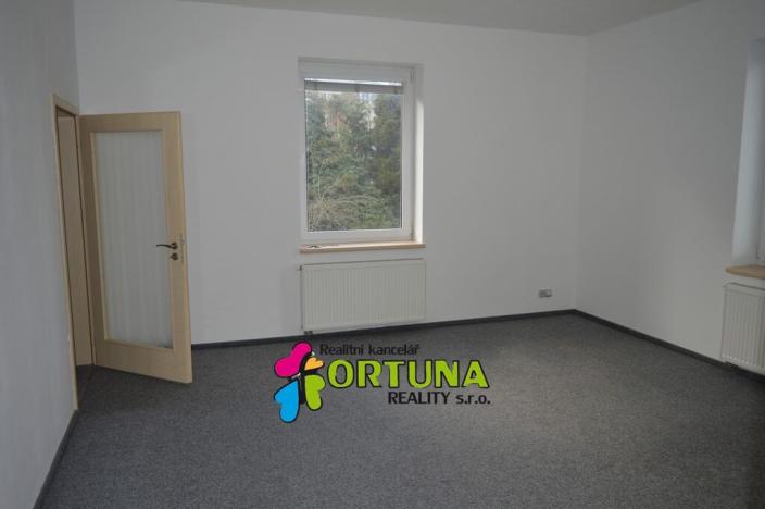 Pronájem bytu 1+1, České Budějovice - České Budějovice 6, Mánesova, 42 m2