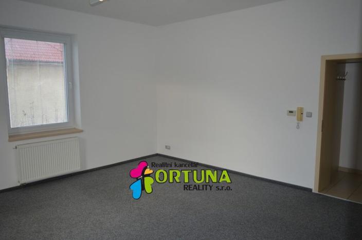 Pronájem bytu 1+1, České Budějovice - České Budějovice 6, Mánesova, 42 m2