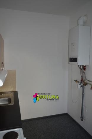 Pronájem bytu 1+1, České Budějovice - České Budějovice 6, Mánesova, 42 m2