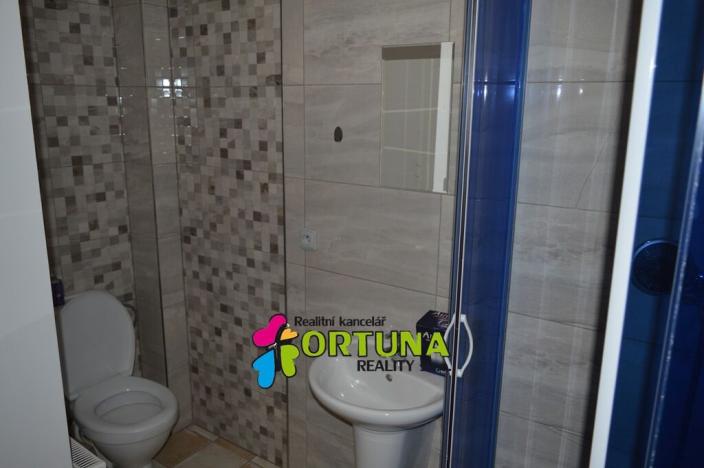 Pronájem bytu 1+1, České Budějovice - České Budějovice 6, Mánesova, 42 m2