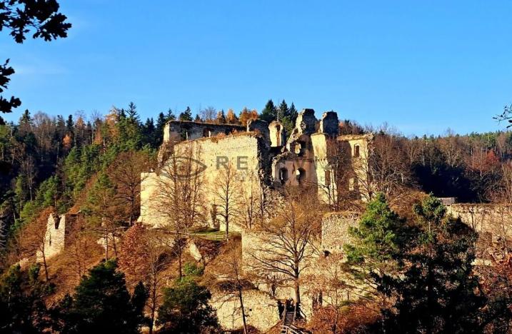 Prodej pozemku pro bydlení, Vrábče, 1001 m2