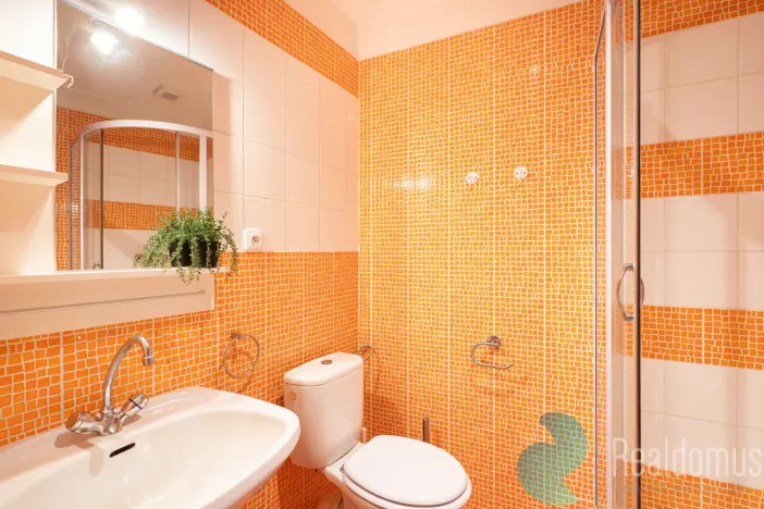 Prodej apartmánu, Benešov nad Černou, 295 m2