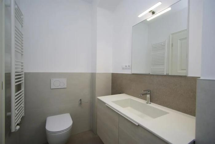 Pronájem bytu 3+kk, Praha - Vinohrady, Čermákova, 76 m2