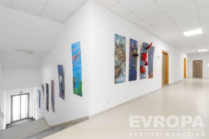 Prodej komerční nemovitosti, Havlíčkův Brod, V Rámech, 1081 m2