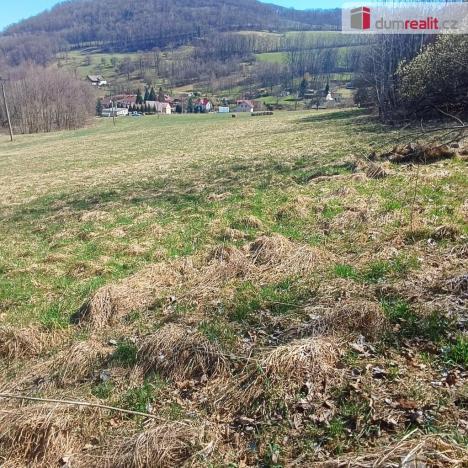 Prodej pozemku pro bydlení, Heřmanov - Fojtovice, 4280 m2