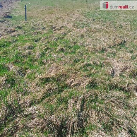 Prodej pozemku pro bydlení, Heřmanov - Fojtovice, 1146 m2