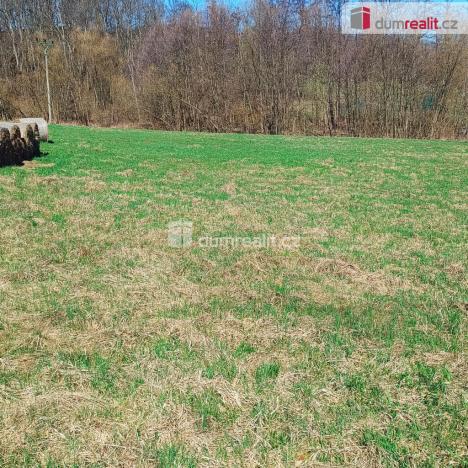 Prodej pozemku pro bydlení, Heřmanov - Fojtovice, 1246 m2