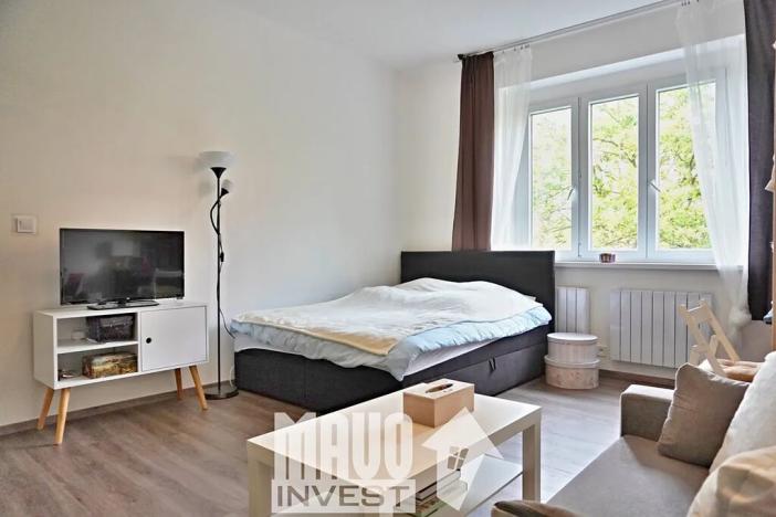 Pronájem bytu 1+kk, Praha - Nusle, Doudlebská, 28 m2