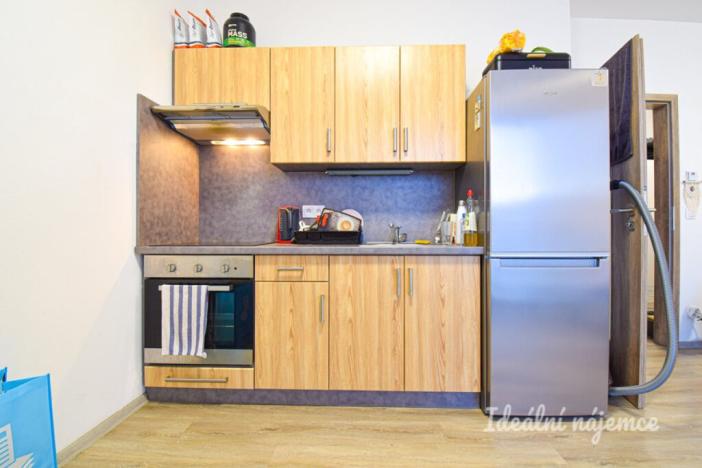 Pronájem bytu 1+kk, Brno, Svitavská, 33 m2