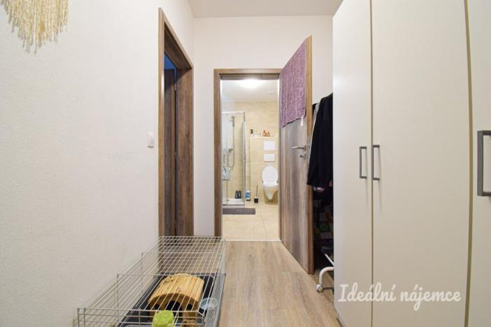 Pronájem bytu 1+kk, Brno, Svitavská, 33 m2