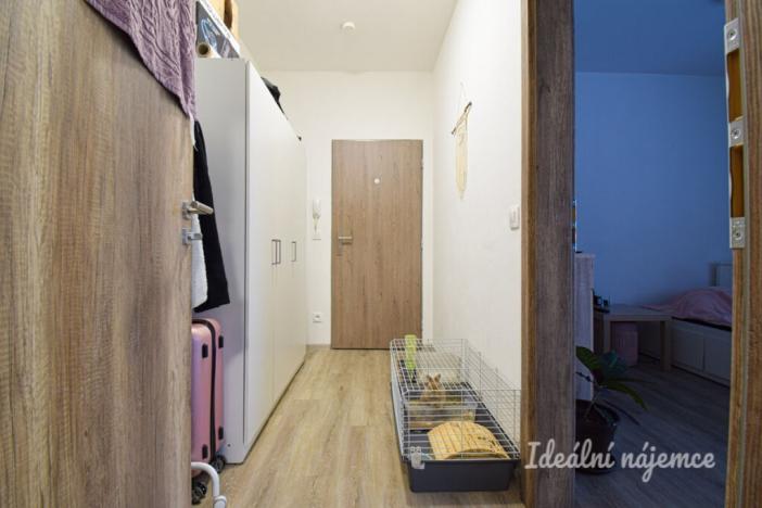 Pronájem bytu 1+kk, Brno, Svitavská, 33 m2