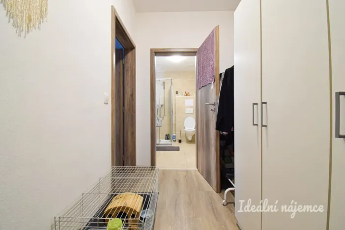Pronájem bytu 1+kk, Brno, Svitavská, 33 m2