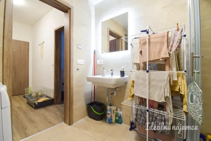 Pronájem bytu 1+kk, Brno, Svitavská, 33 m2