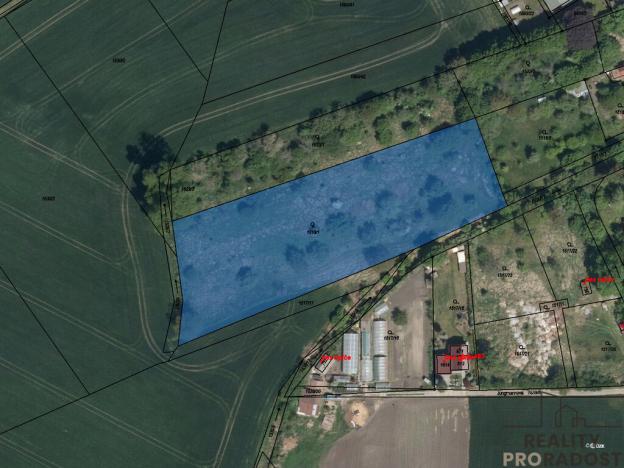 Prodej pozemku pro bydlení, Dašice, 11500 m2