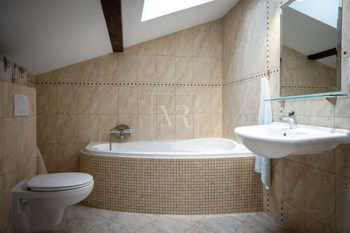 Prodej vícegeneračního domu, Sulice, Hlavní, 370 m2