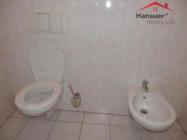 Pronájem kanceláře, Ústí nad Labem - Ústí nad Labem-centrum, U Vlečky, 21 m2