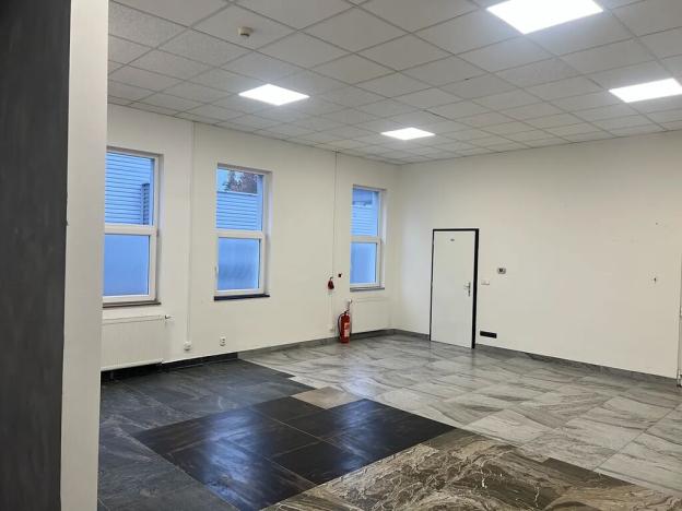 Pronájem obchodního prostoru, Dalovice, Botanická, 136 m2