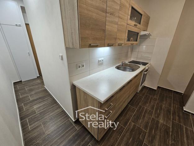 Pronájem bytu 1+1, Břidličná, 34 m2