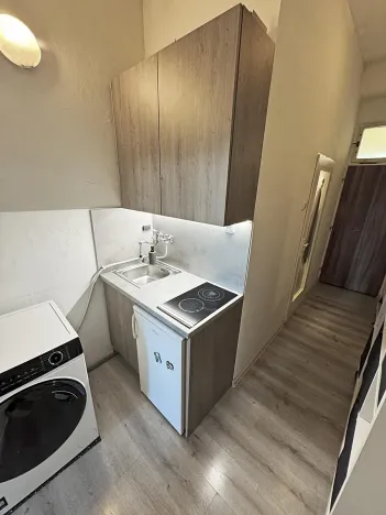 Pronájem bytu 1+kk, Brno, Plotní, 32 m2