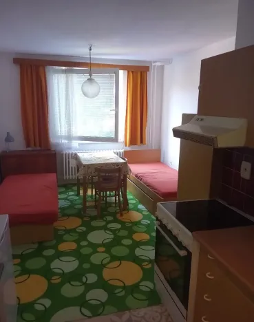 Pronájem bytu 1+kk, Tábor, Zborovská, 20 m2