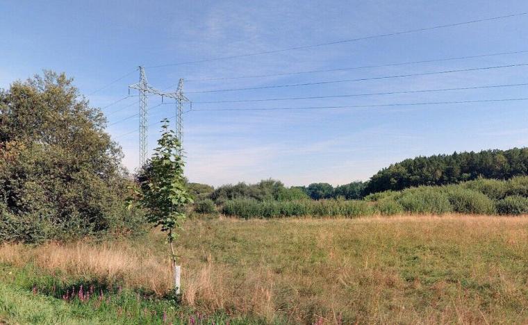 Prodej pole, Vodňany - Újezd, 8684 m2