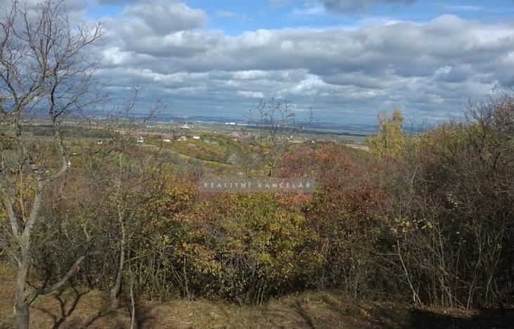 Prodej zahrady, Židlochovice, 2384 m2