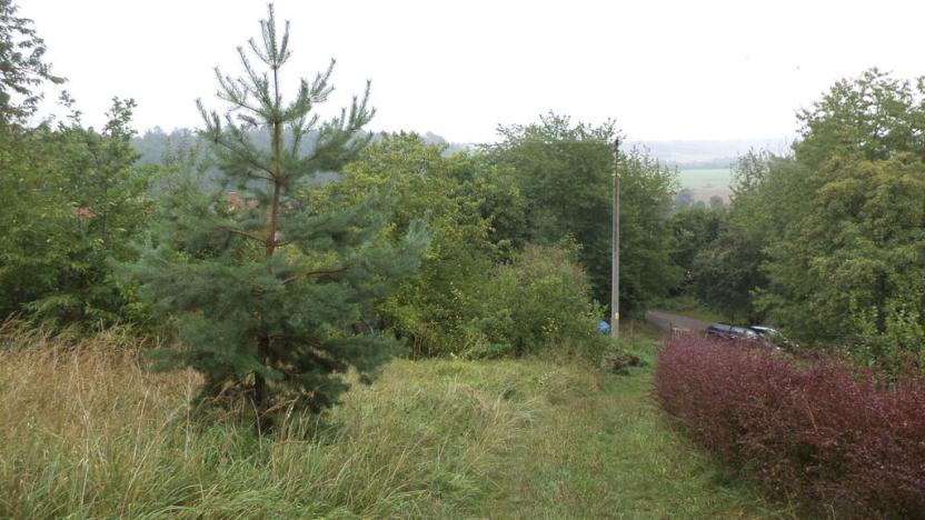 Prodej pozemku, Skuteč, 881 m2