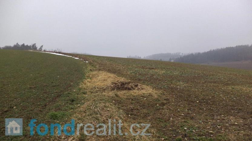Prodej pole, Zvěstov, 51947 m2
