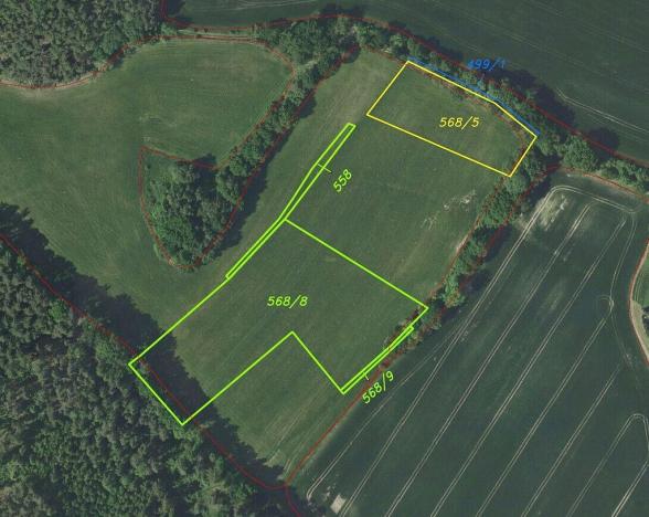 Prodej pole, Zvěstov, 51947 m2