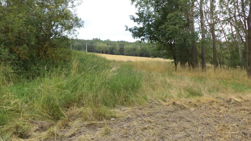 Prodej zahrady, Heřmanova Huť - Vlkýš, 1100 m2