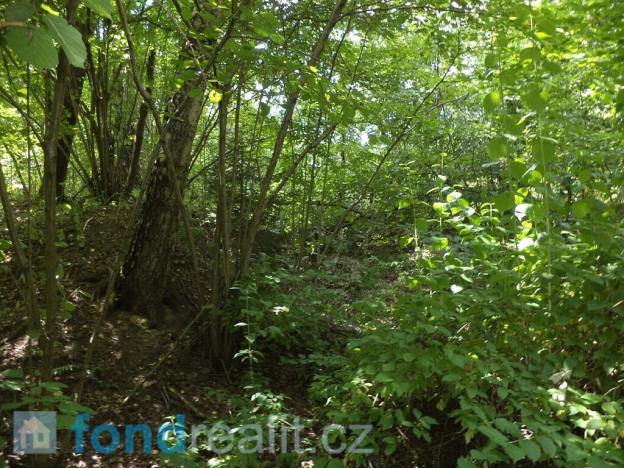 Prodej pozemku, Kaplice - Blansko, 19480 m2