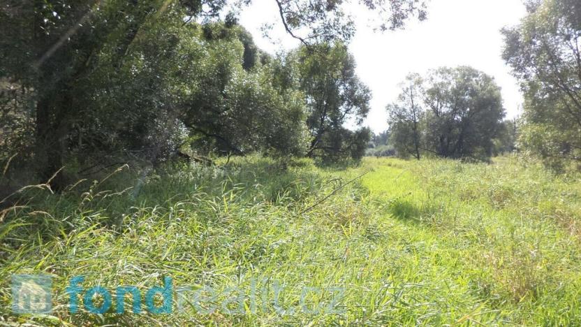 Prodej pozemku, Přešťovice - Brusy, 828 m2