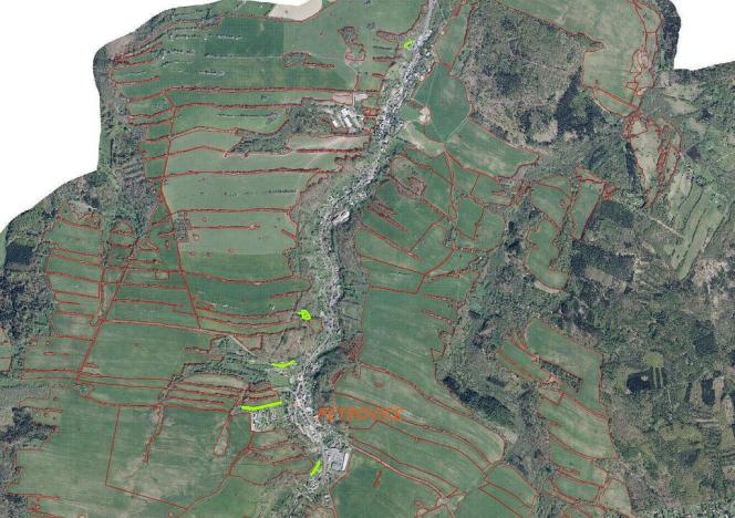 Prodej pozemku, Petrovice, 4129 m2