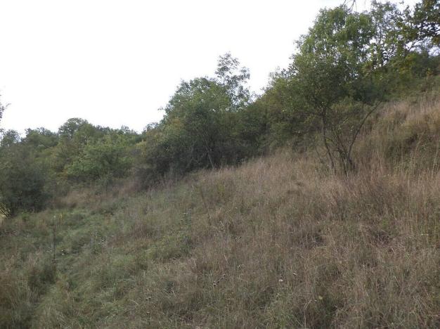 Prodej pole, Řehlovice - Stadice, 22441 m2