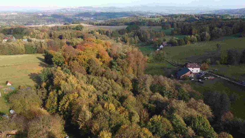 Prodej pozemku, Hrádek nad Nisou - Dolní Sedlo, 543 m2