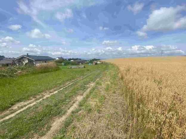 Prodej pozemku, Kamenná Horka, 6926 m2