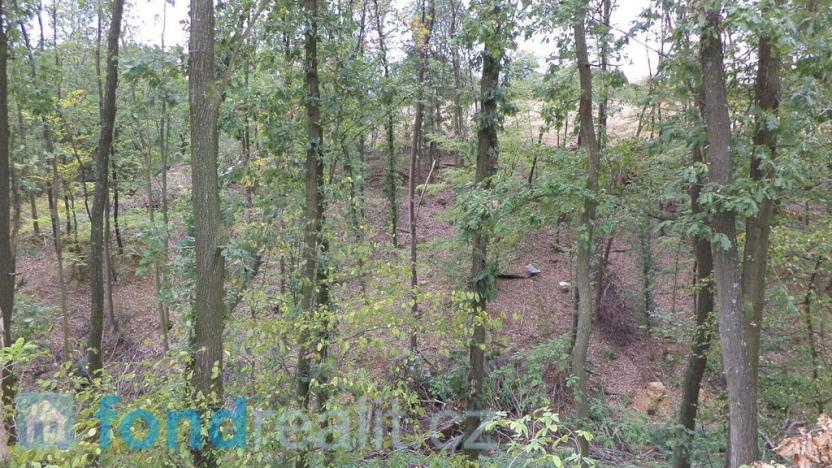 Prodej pozemku, Traplice, 19641 m2