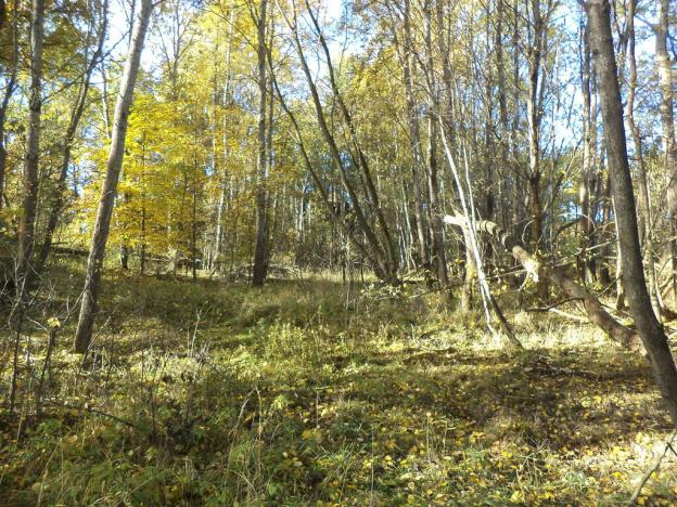 Prodej pozemku, Římov - Dolní Stropnice, 2102 m2