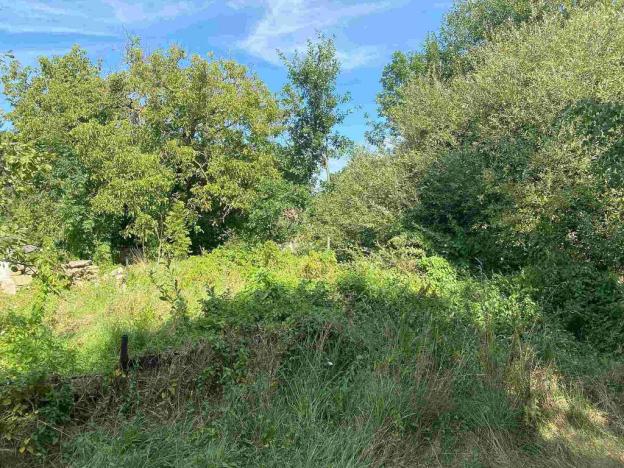 Prodej pozemku, Horní Stropnice - Bedřichov, 2842 m2