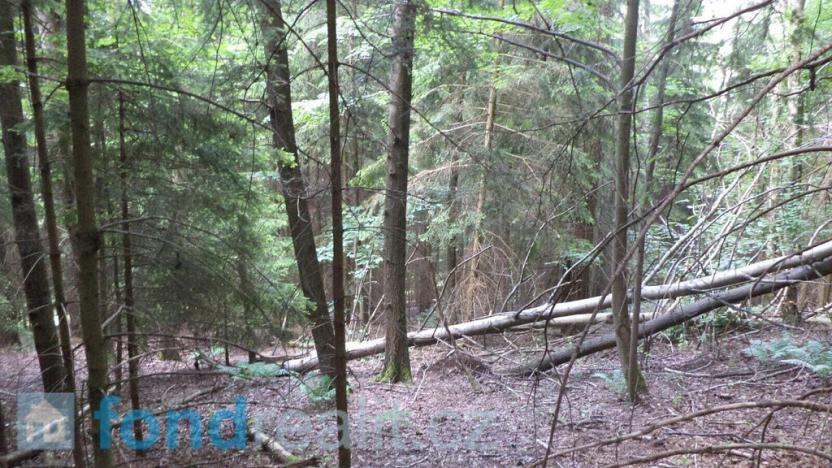 Prodej pozemku, Dolní Dobrouč, 4634 m2