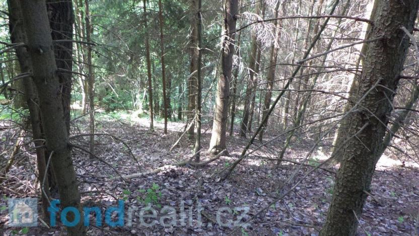 Prodej pozemku, Dolní Dobrouč, 4634 m2